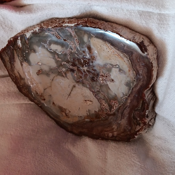 Petrified wood slice 15.2 oz - Picture 1 of 5